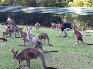 Australia Zoo (18)