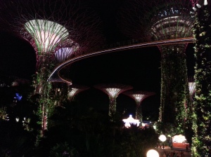Gardens by the Bay (1)
