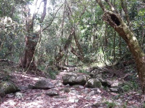 Mossman Gorge, AU (3)